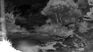 Still 2 from this detection