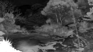 Still 1 from this detection