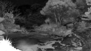 Still 1 from this detection