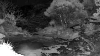 Still 1 from this detection