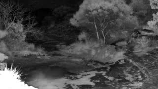 Still 2 from this detection