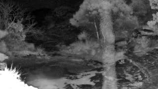 Still 1 from this detection