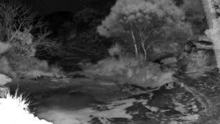 Still 1 from this detection