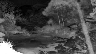Still 3 from this detection