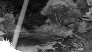 Still 3 from this detection