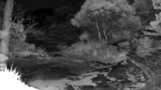 Still 1 from this detection