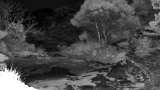 Still 2 from this detection