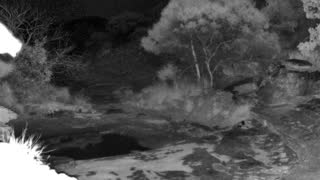Still 1 from this detection