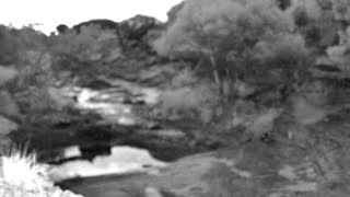 Still 1 from this detection