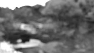 Still 2 from this detection
