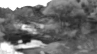 Still 1 from this detection