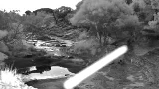 Still 2 from this detection