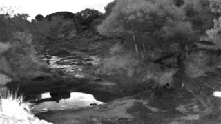 Still 2 from this detection