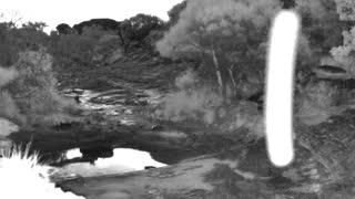Still 1 from this detection