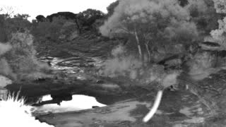 Still 1 from this detection