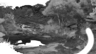 Still 2 from this detection