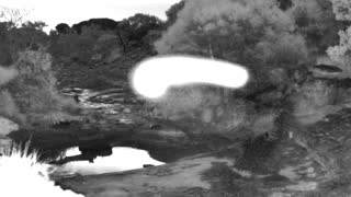 Still 1 from this detection