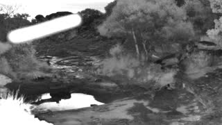Still 1 from this detection