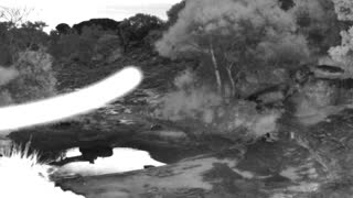 Still 3 from this detection