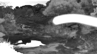 Still 1 from this detection