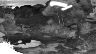 Still 1 from this detection