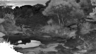 Still 2 from this detection