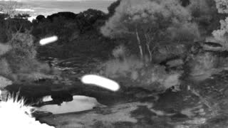 Still 1 from this detection
