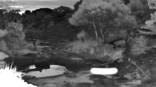 Still 1 from this detection