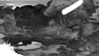 Still 1 from this detection