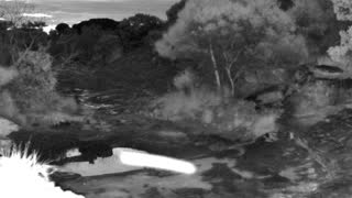 Still 1 from this detection