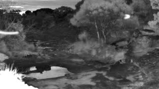 Still 2 from this detection