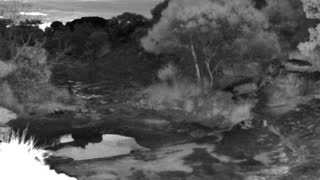 Still 2 from this detection