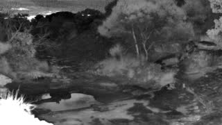 Still 1 from this detection