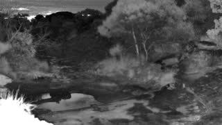 Still 2 from this detection