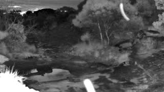 Still 3 from this detection