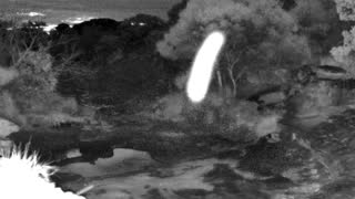Still 1 from this detection