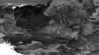 Still 2 from this detection
