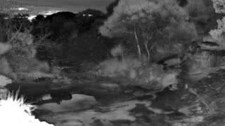 Still 3 from this detection