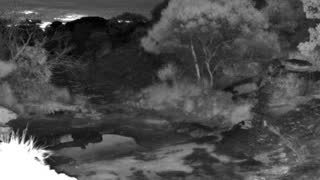 Still 2 from this detection