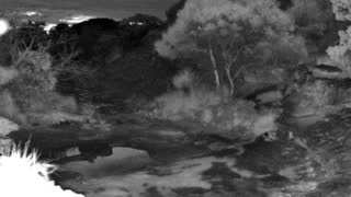 Still 3 from this detection
