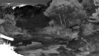 Still 1 from this detection