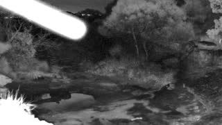 Still 1 from this detection