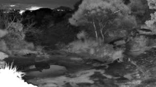 Still 3 from this detection