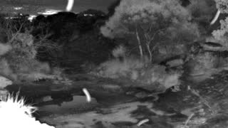 Still 1 from this detection