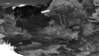 Still 3 from this detection