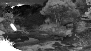 Still 2 from this detection