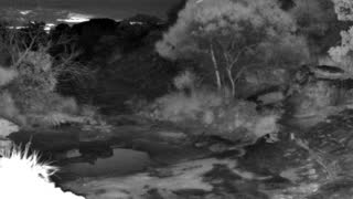 Still 1 from this detection