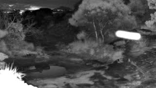 Still 2 from this detection