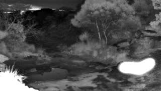 Still 1 from this detection