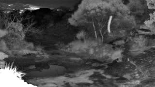 Still 2 from this detection